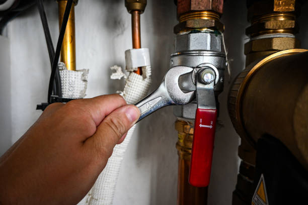 Best Sewer Cleaning Services  in Francisville, KY